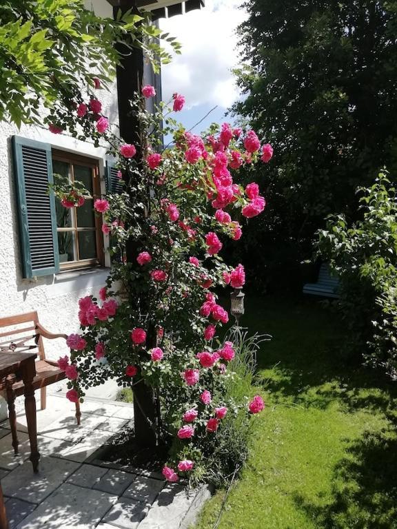'Sissi' Ein Zaubehaftes Apartement Im Modernen Landhausstil اوبرامرغو المظهر الخارجي الصورة